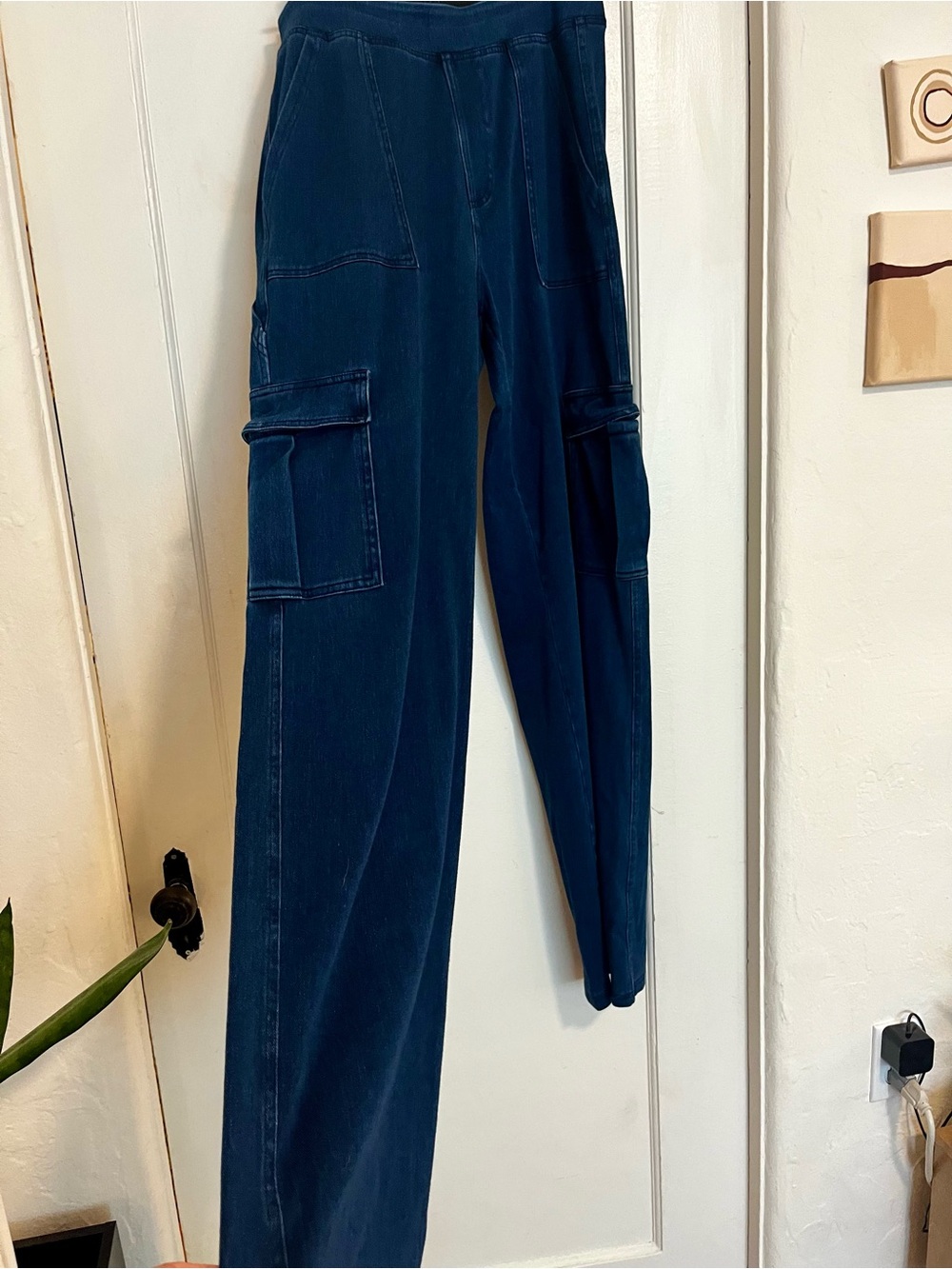 Halara Blue Cargo Pants size M/tall